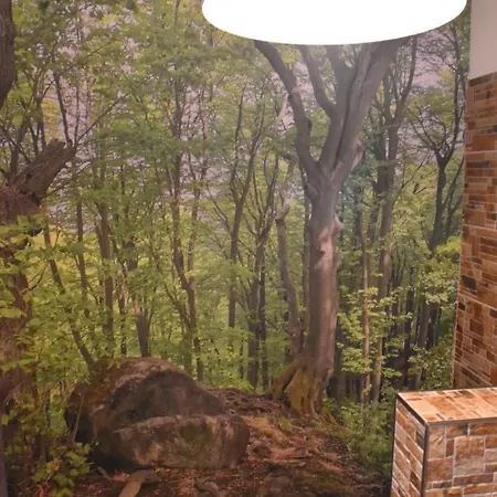 Kincs Es Jurtaszallas Apartment Dobogoko
