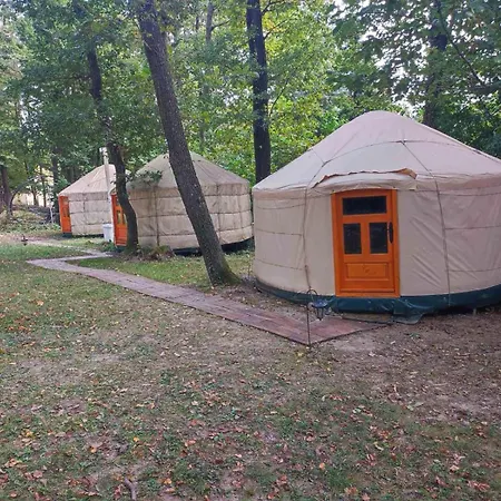 Kincs Es Jurtaszallas * Dobogókő